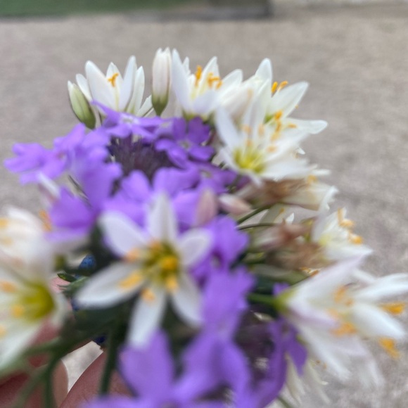 Meet your Posher, Jewelez - Picture 2 of 2